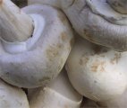 Champignons de Paris.