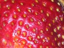 Fraise.