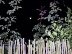 Pleine lune.